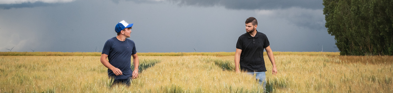 Giovani agricoltori nel campo