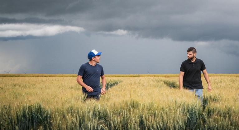 Giovani agricoltori nel campo