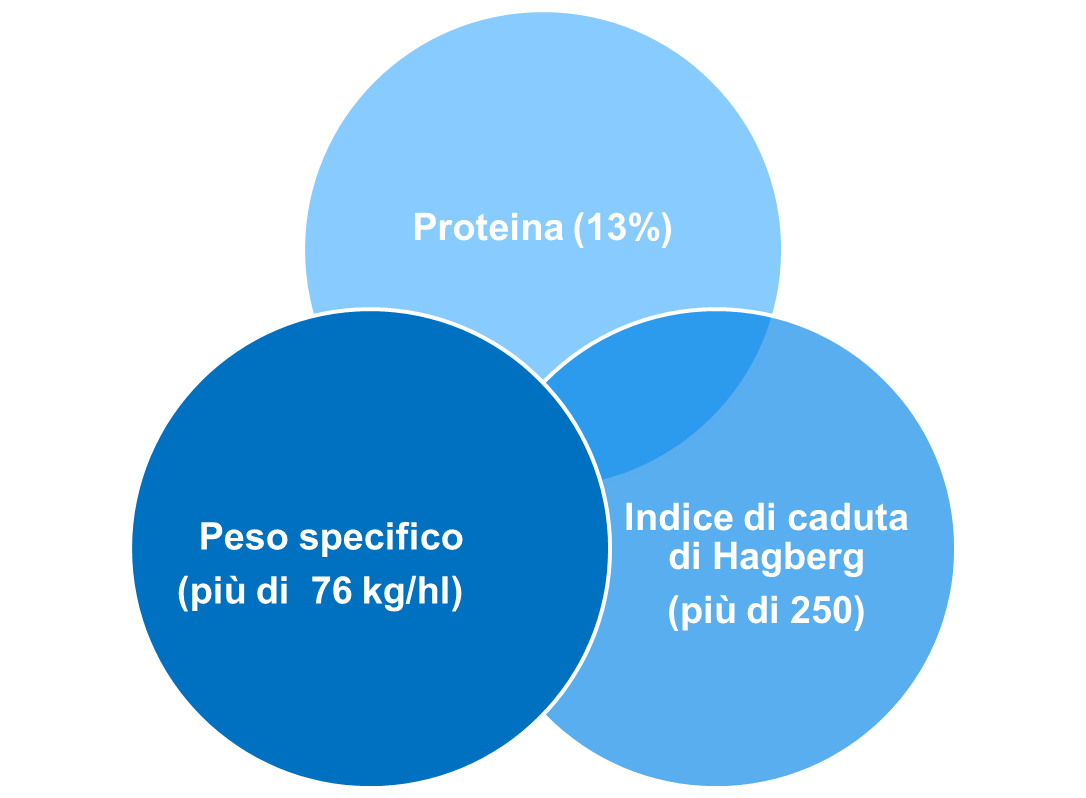 come_aumentare_la_qualita_del_frumento