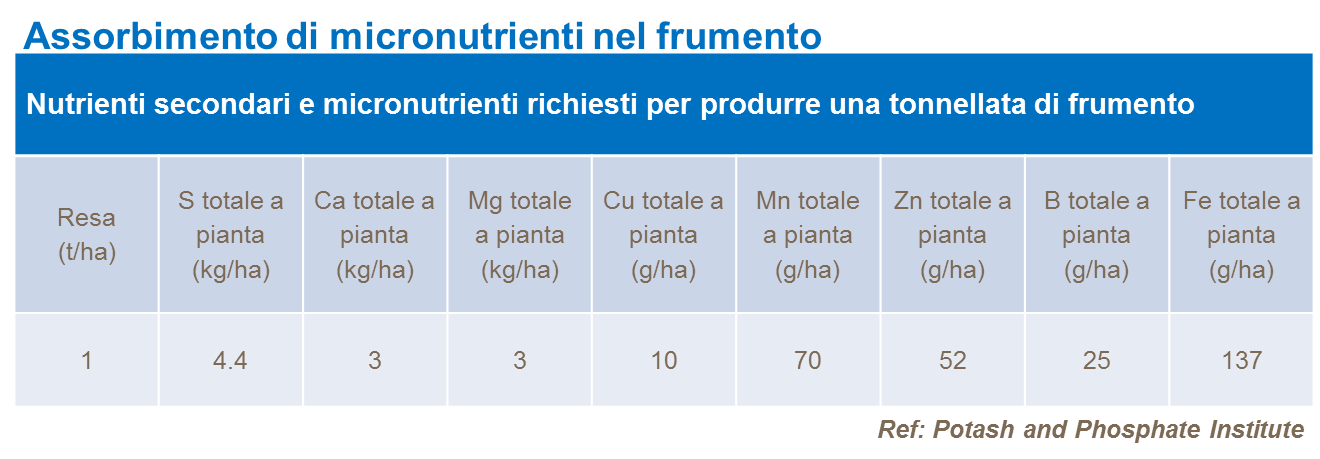 assorbimento_di_micronutrienti