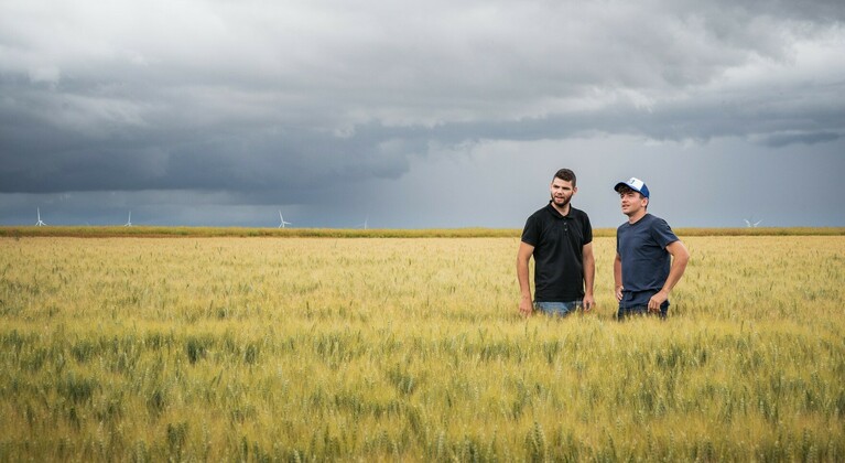 Contadini controllano grano nel campo