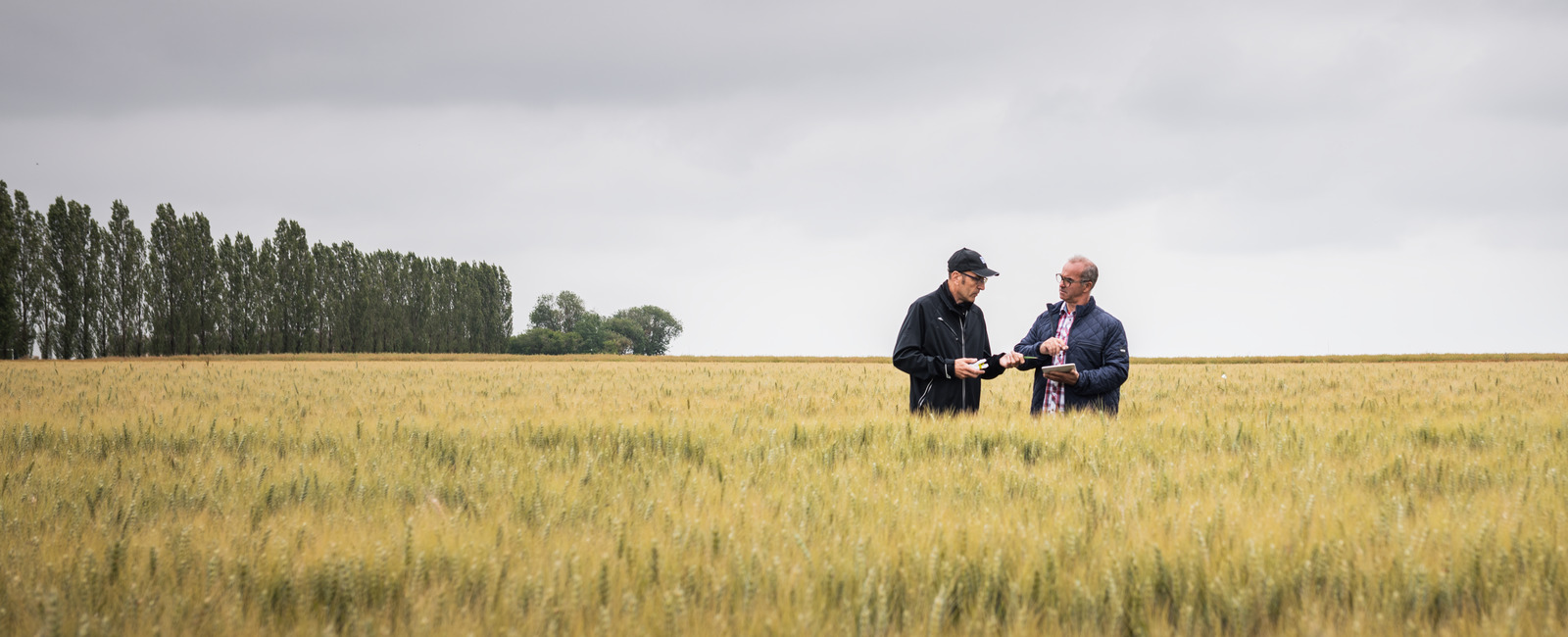 Agricoltori nel campo