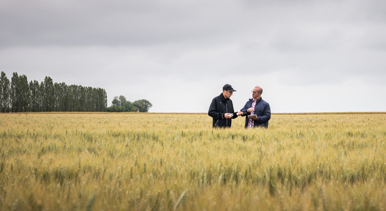 Agricoltori nel campo