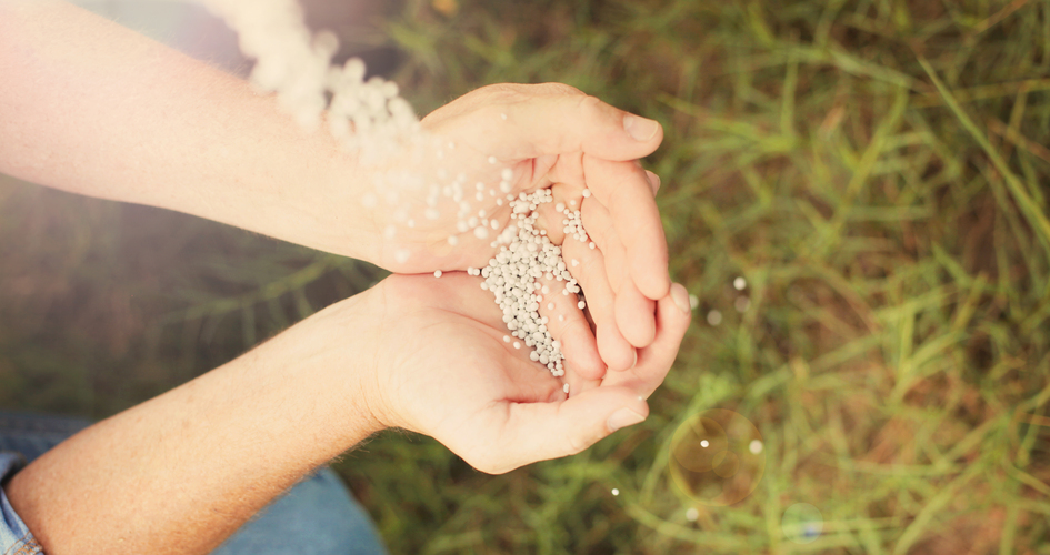 mani che tengono del concime