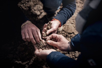 I concimi organo minerali tutelano il suolo