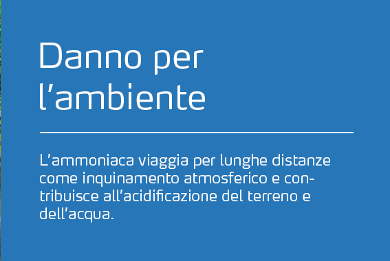 ammonia-environment-copy-ita.png
